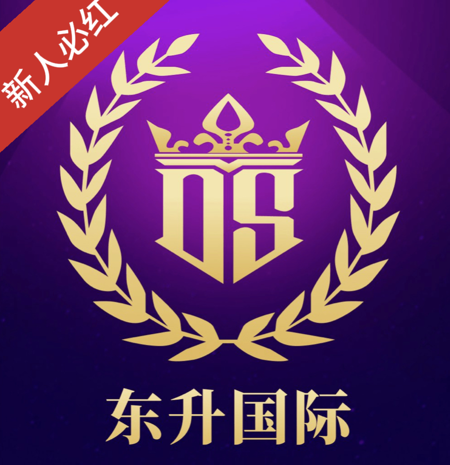 东升国际